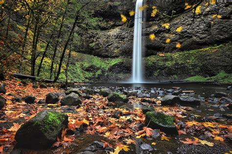 Flickriver Photoset Silver Falls State Park Salem Area Oregon By Don Briggs