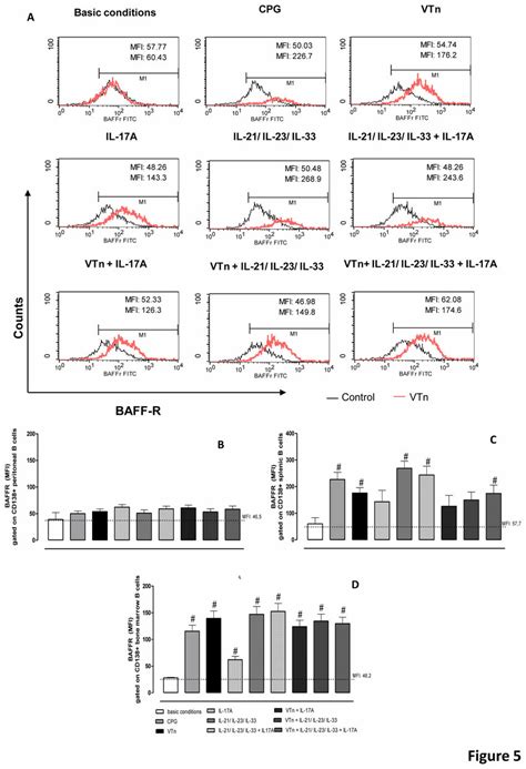 ASC From Splenic And Bone Marrow CD19 Positive B Cells Express High