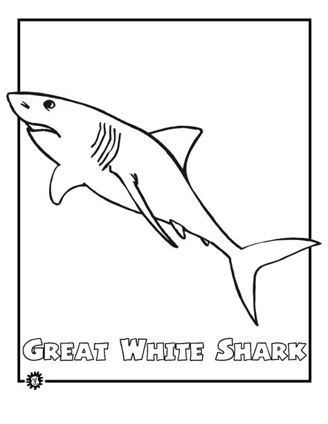 Great White Shark coloring page - Animals Town - animals color sheet ...