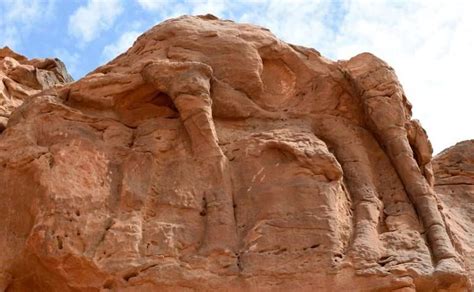 Rock Art And Mystery Ancient Camel Sculptures In Saudi Desert