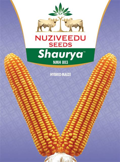 Shaurya Corn Seed Seeds Corn