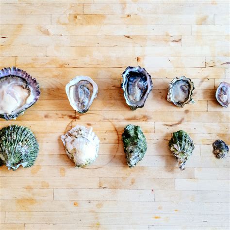 Half Shell 101: A Beginner's Oyster Appreciation Guide — In A Half Shell