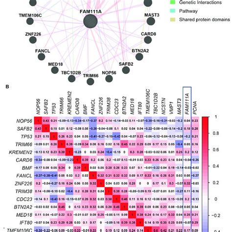 The Ppi Network And Correlation Analysis Between Fam A And Its