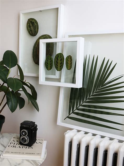 DIY: Pressed Plant Frame – Alana Jones-Mann