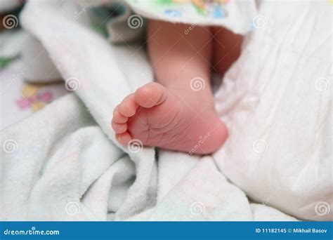 Legs Newborn Royalty Free Stock Photo Image 11182145