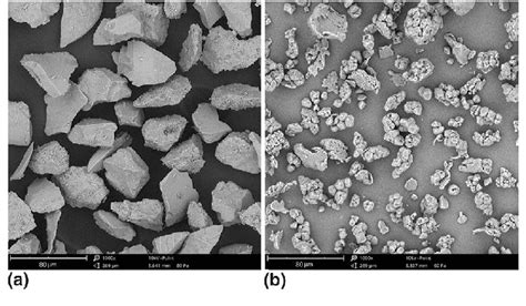 Sem Micrographs Of The Free Surface Of Bioactive Glass A And Peek B