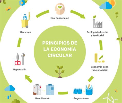 Integrando El Reciclaje En La Economía Circular Hostmune Reciclaje