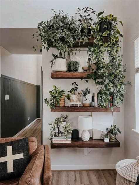 Prateleiras Com Plantas Na Sala - 5 Erros Comuns na Decoração das Prateleiras da Sala, Segundo Designers