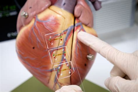 A Microfluidic 3D Model Of The IMAGE EurekAlert Science News Releases