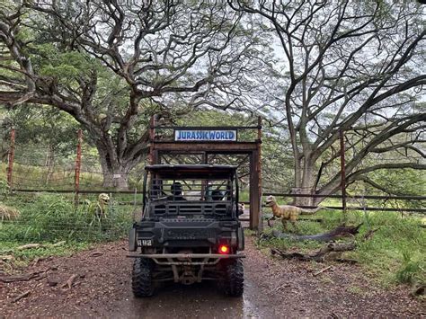 Kualoa Ranch Tour Reviews: Which One is the Best?