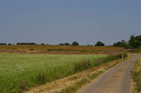 Lane From Hemley Towards Newbourne And Christopher Hilton