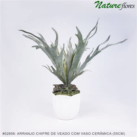 Arranjo Chifre De Veado Artificial Vaso Cer Mica X Cm Nature