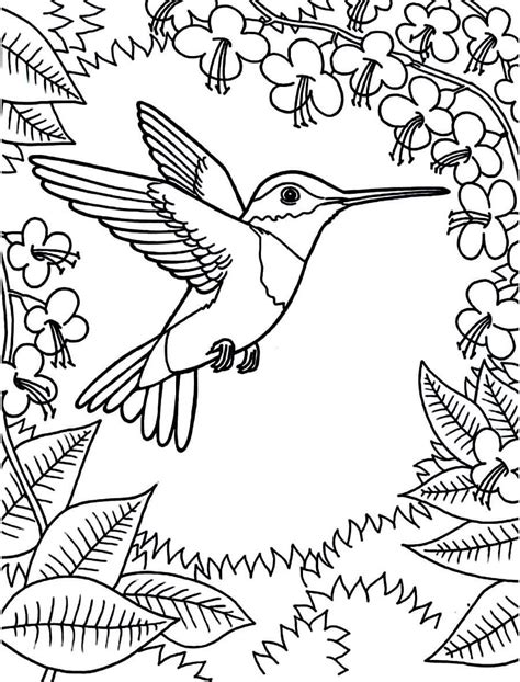 Familia de Colibríes en el Árbol para colorear imprimir e dibujar