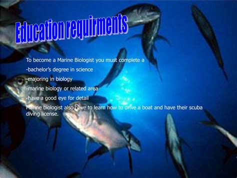 Ppt Marine Biology Powerpoint Presentation Free Download Id3490954