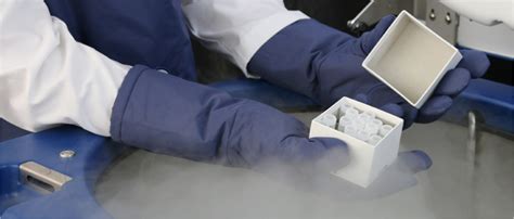 Cryoguard Cryogenic Gloves And Aprons For Worker Protection