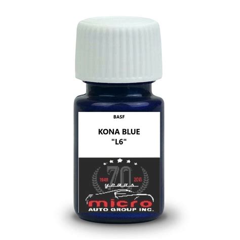 Ford Kona Blue L6 Touch Up Paint Kit With Brush 2 Oz Ships Today Ebay