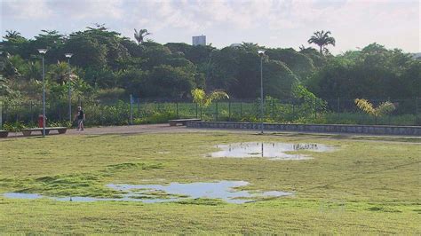 Frequentadores Reclamam Da Falta De Manutenção De Parque Na Zona Norte