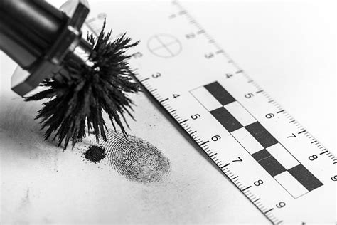 Latent Fingerprints Definition Forensics