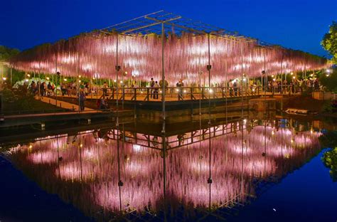 The 100+ Year Old Wisteria at Japan’s Ashikaga Flower Park is ...