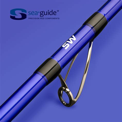 Surfcasting Fishing Rod Symbios 500 420 Travel 100 200g Caperlan