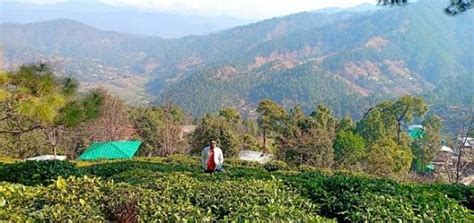 Kausani | Ranikhet - What to Expect | Timings | Tips - Trip Ideas by MakeMyTrip