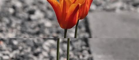 fix screen tearing  watching   working techdim