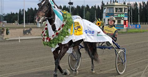 Majblomster Med Chans P Ny Storseger Senaste Nyheterna Om Trav