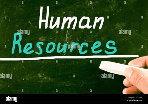 human resources stock  human resources stock images alamy
