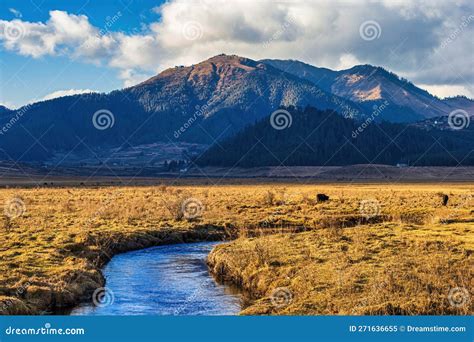 Landscape Shot Of Phobjikha Valley In Bhutan Stock Image Image Of