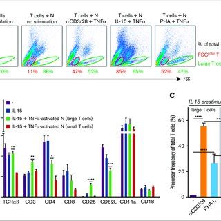 Activated Neutrophils Suppress T Cell Proliferation Purified T Cells