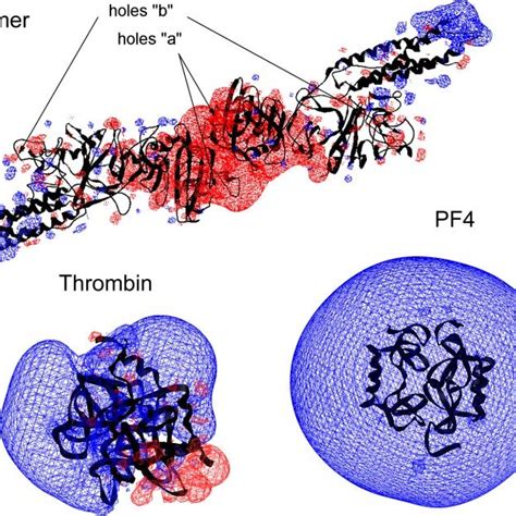 Scanning Electron Microscopy Of Fibrin Clots Fibrin Networks Were Download Scientific Diagram