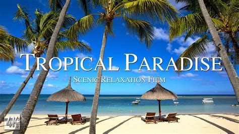 Tropical Paradise 4K Relaxation Video Escape To Paradise With