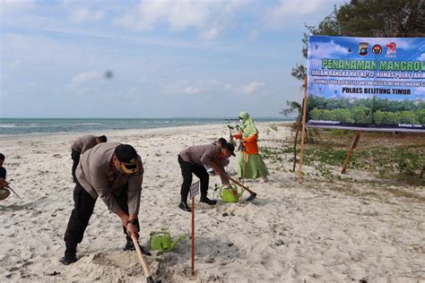 Hut Humas Polri Ke Kasi Humas Polres Belitung Timur Tanam Mangrove