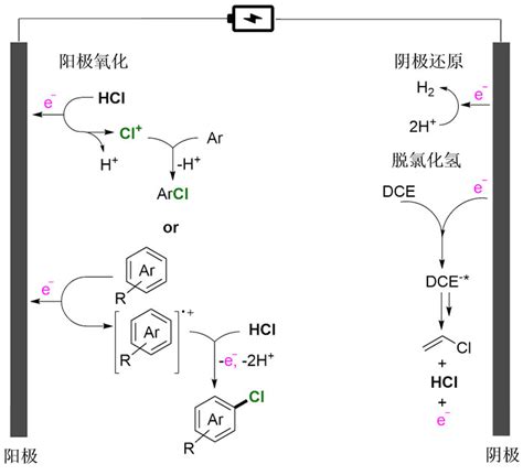 Angew Chem 高效电催化制备氯代芳烃 杂芳烃和氯乙烯 X MOL资讯