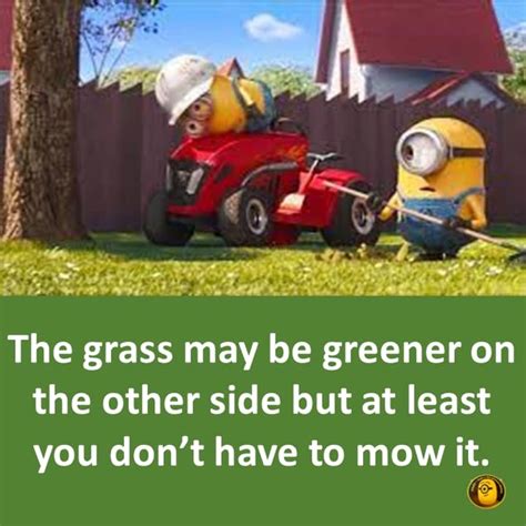 Sarcastically Funny Minion Quotes And Sayings