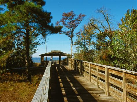 Lake Waccamaw State Park | NC State Parks