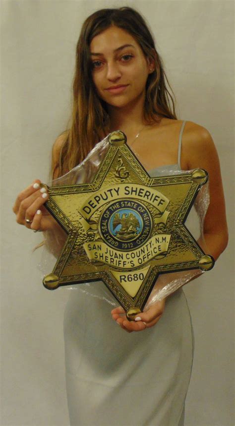 San Juan County New Mexico Sheriff's Department (Deputy) Badge All Met ...