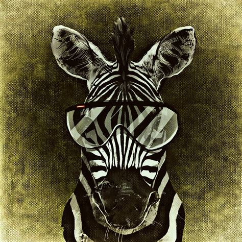 Free illustration: Zebra, Cool, Abstract, Funny - Free Image on Pixabay ...