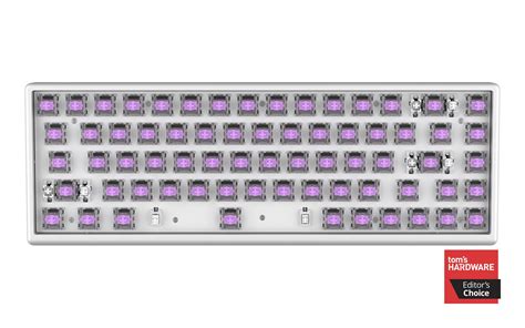 Polar 65 - Magnetic Gaming Keyboard (Barebone Kit) – Arbiter Studio