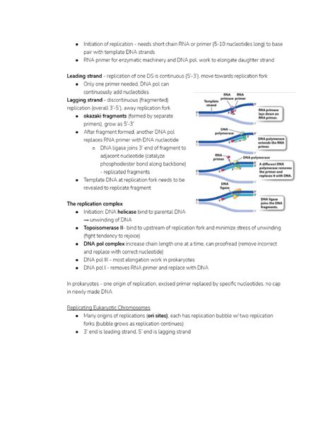 Bio A Lecture Module Notes Bio A Mcmaster Studocu