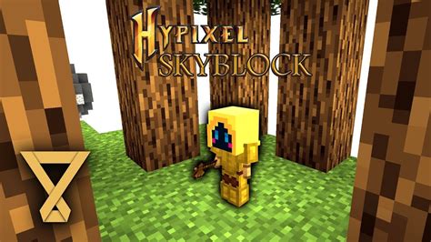 Minions Arbeiten Für Uns Minecraft Hypixel Skyblock 2 Lets Play