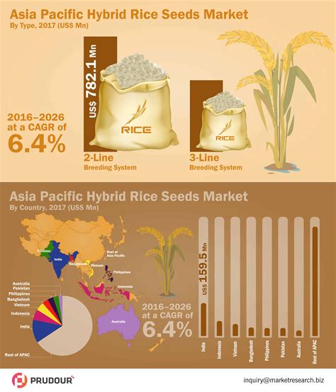 Infographics Asia Pacific Hybrid Rice Seeds Market Revenue To