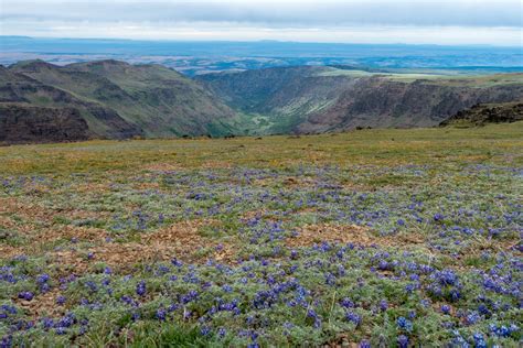 Steens Mountain Backpacking Guide – Southeastern Oregon | CleverHiker