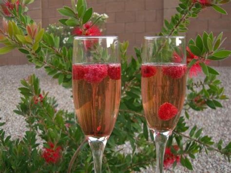 Raspberry Chambord Bellini Recipe Italian Food Recipe Bellini