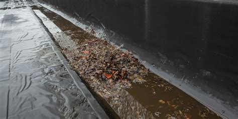 Common Causes Of Clogged Storm Drains New Pipes Inc