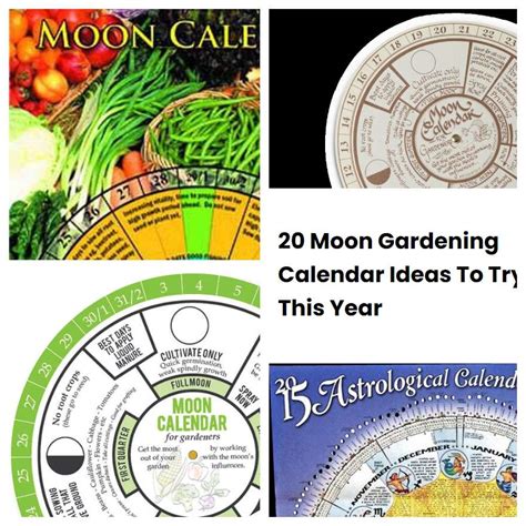 20 Moon Gardening Calendar Ideas To Try This Year | SharonSable