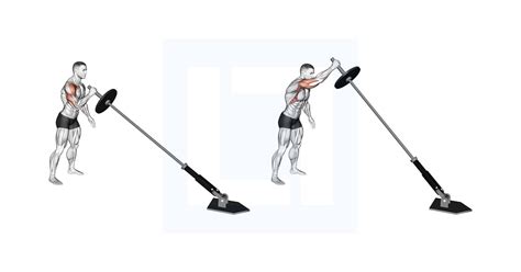 Landmine Single Arm Press Guide Benefits And Form