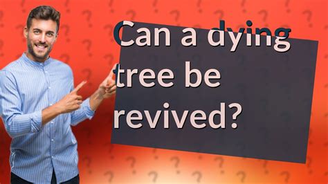 Can A Dying Tree Be Revived Youtube