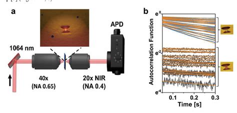 Figure From Optomechanical Plasmonic Trapping Semantic Scholar