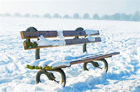 Bench And Snowy Park Free Stock Photo - Public Domain Pictures